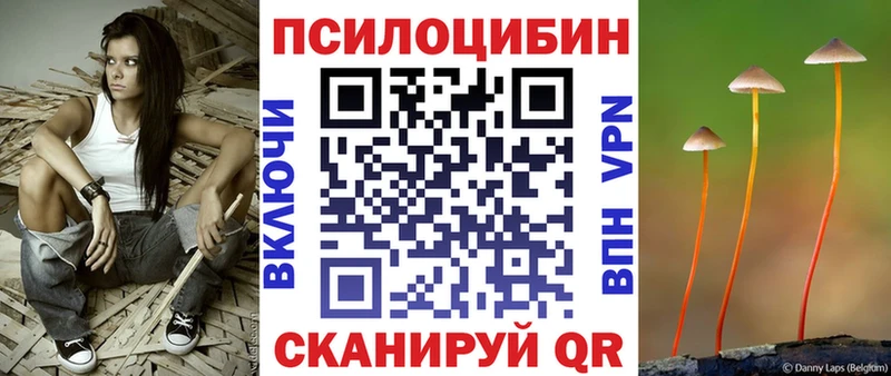Галлюциногенные грибы ЛСД цена MEGA ссылка Камень-на-Оби