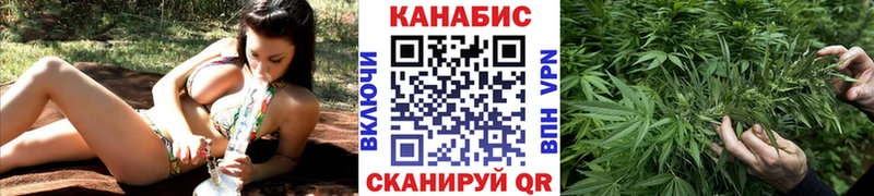 Каннабис конопля  Камень-на-Оби 